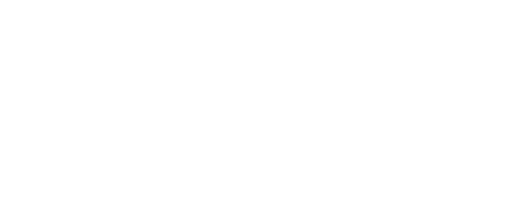 Car Sale Point